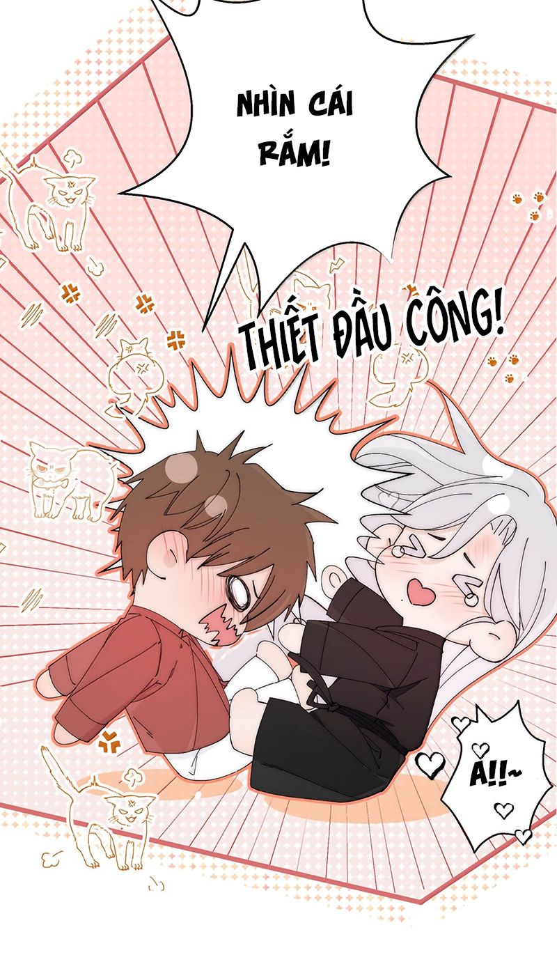 Mỗi Ngày Đều Muốn Làm Bệnh Kiều Vương Tử Xấu hổ Muốn Độn Thổ Chap 35 - Trang 3