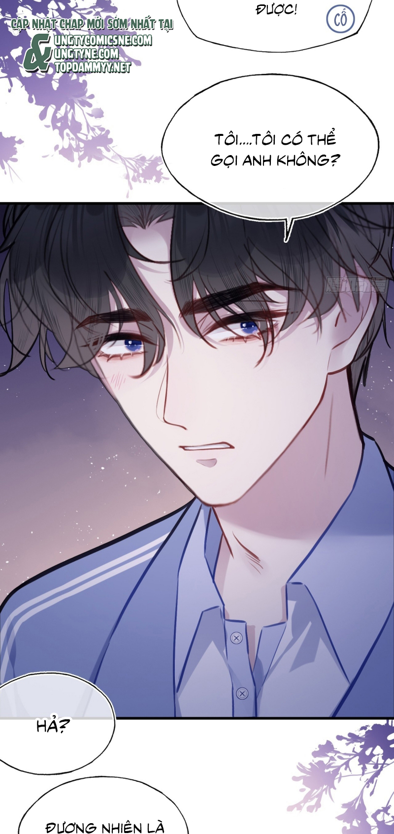 Anh Ấy Chưa Từng Rơi Xuống Chap 138 - Trang 3