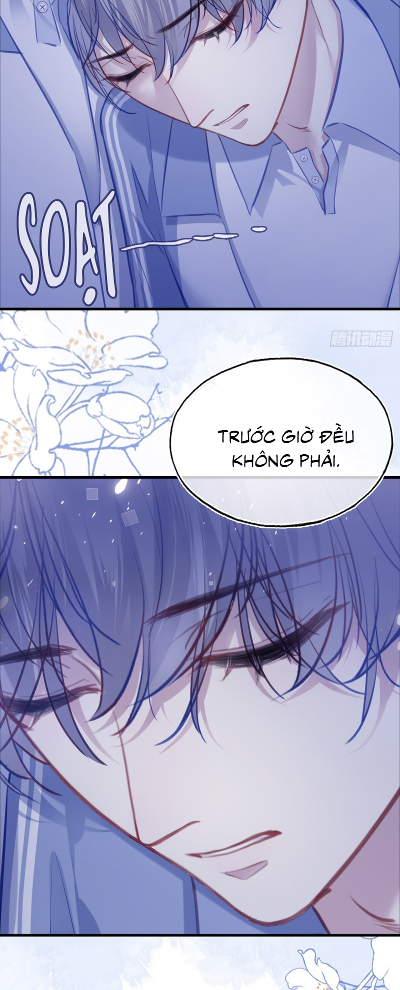 Anh Ấy Chưa Từng Rơi Xuống Chap 138 - Trang 3