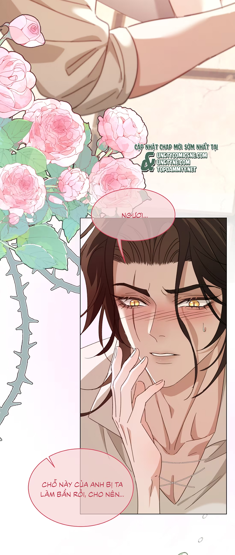 Vương Tử Bệnh Kiều Bị Báo Đen Chiếm Đoạt Đến Nghiện Chapter 12 - Trang 3