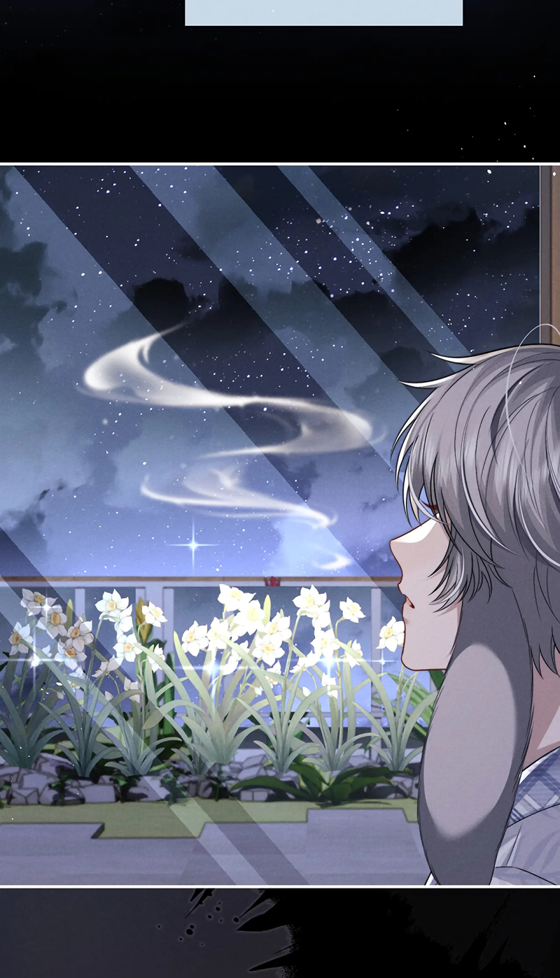 Chấp Sự Thỏ Cụp Tai Chap 178 - Trang 2