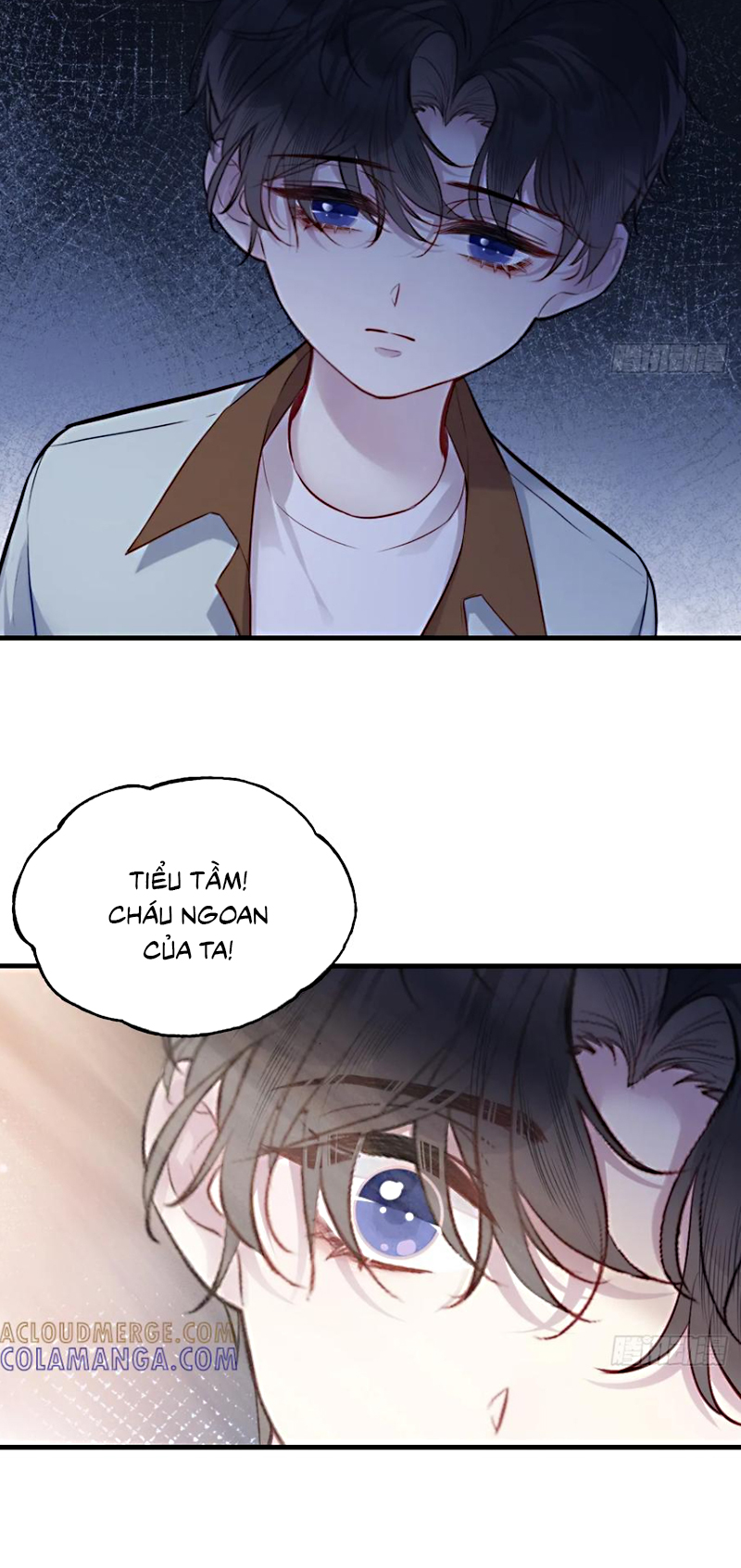 Anh Ấy Chưa Từng Rơi Xuống Chap 139 - Trang 3