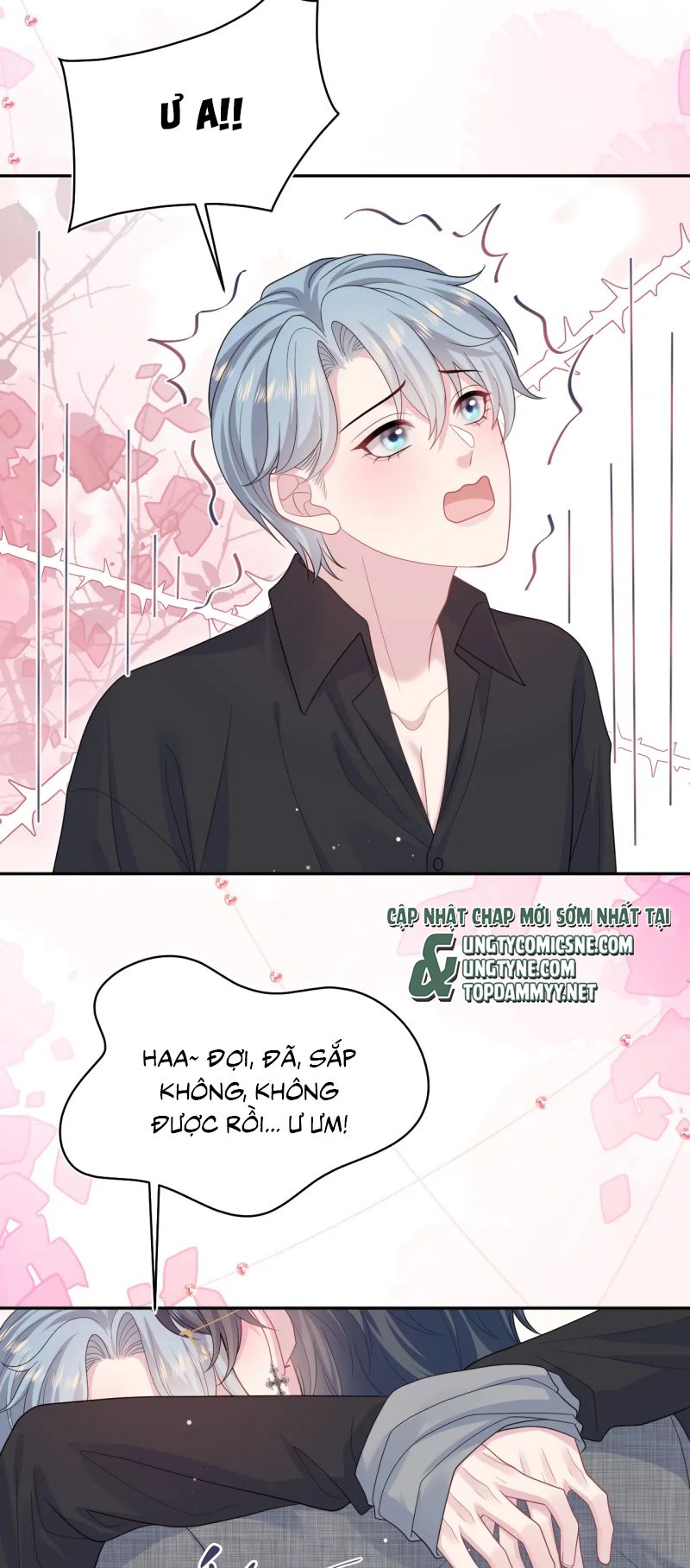 Tuyệt Mỹ Bạch Liên Hoa Online Dạy Học Chap 462 - Trang 2