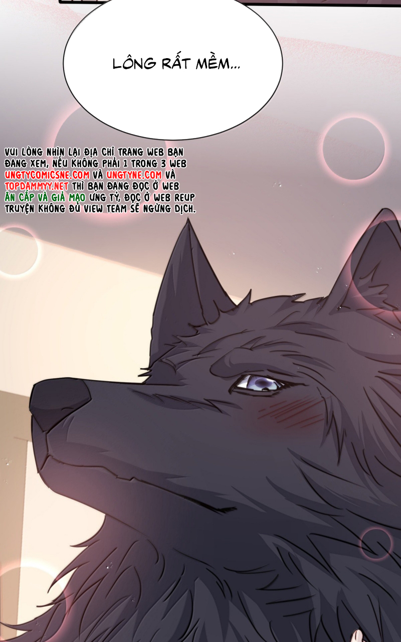 Lồng Tuyết Chap 65 - Trang 3