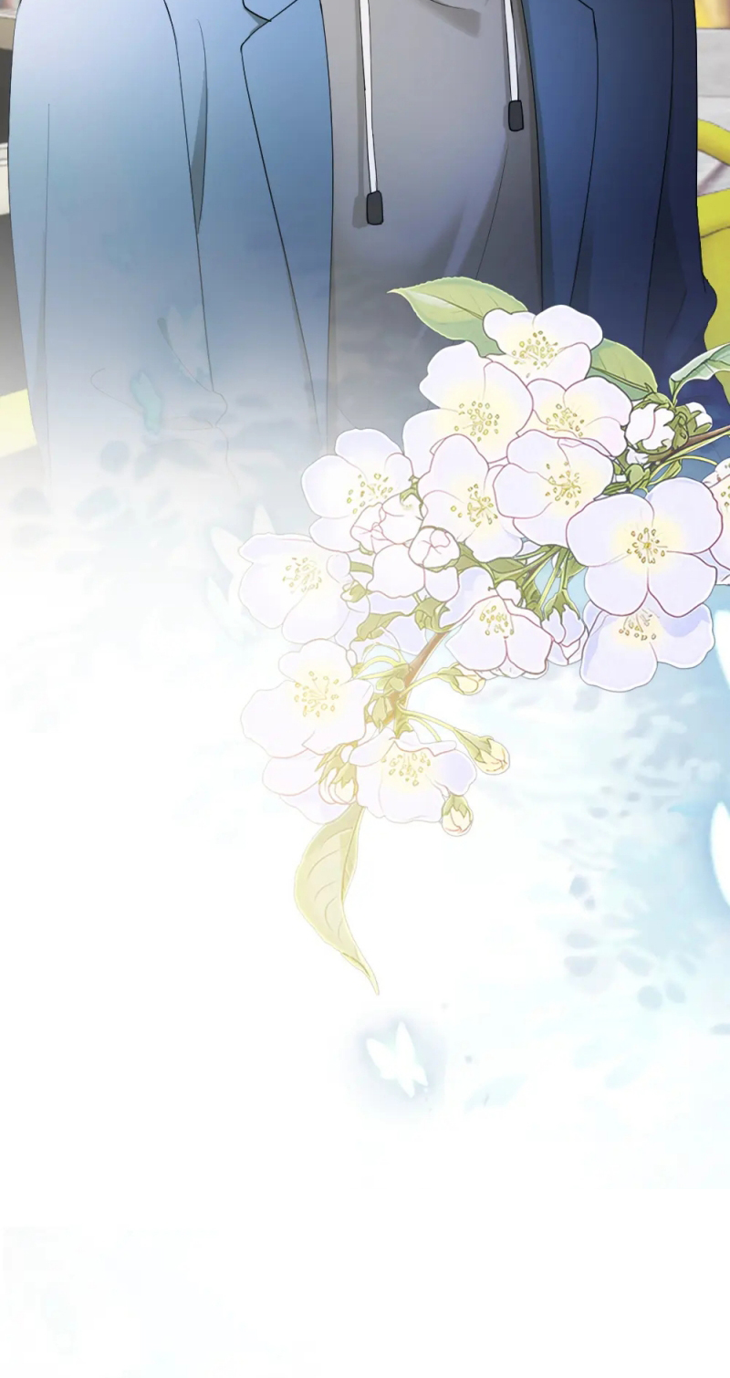 Tiểu Thiếu Gia Dựa Vào Mỹ Mạo Hoành Hành Toàn Hệ Thống Chap 96 - Trang 3
