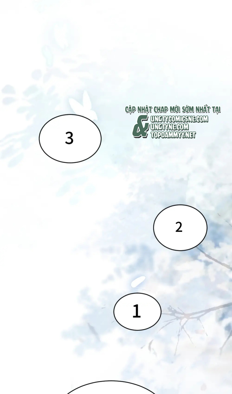 Tiểu Thiếu Gia Dựa Vào Mỹ Mạo Hoành Hành Toàn Hệ Thống Chap 96 - Trang 3