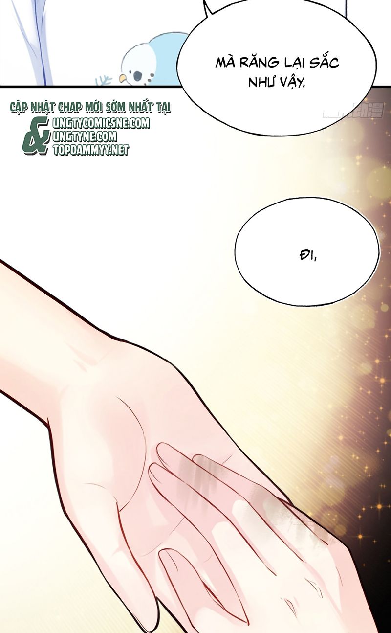 Anh Ấy Chưa Từng Rơi Xuống Chap 140 - Next 