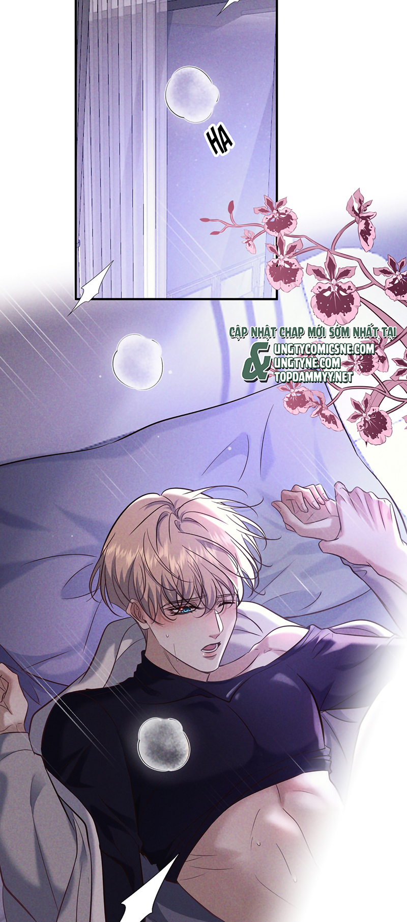 Đêm Tình Yêu Và Sát Ý Chap 81 - Trang 2