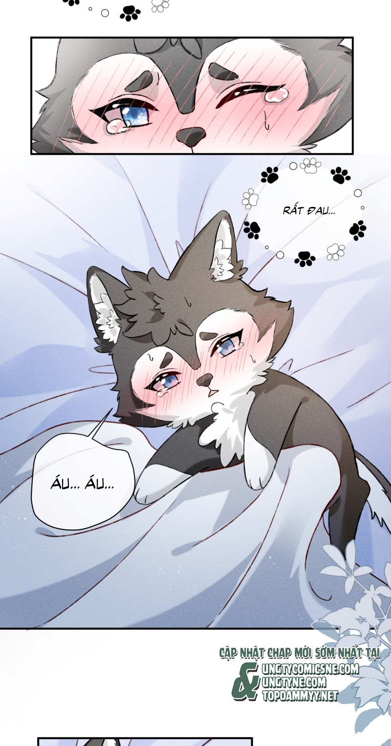 Nhận Kẻ Địch Làm Cha Chap 17 - Trang 2