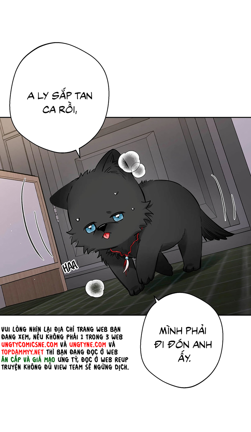 Lang Quân Muốn Chịu Trách Nhiệm Với Tôi Chap 22 - Next 