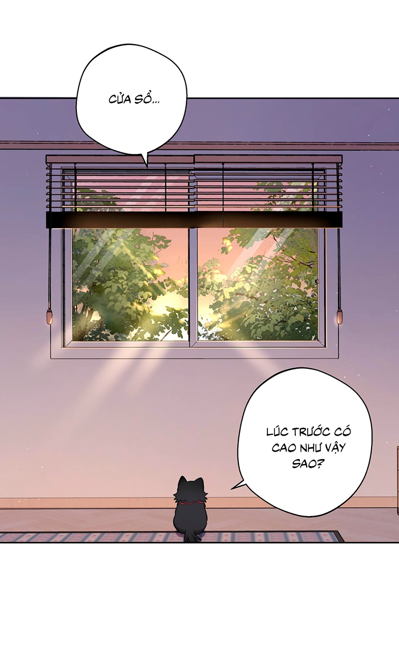 Lang Quân Muốn Chịu Trách Nhiệm Với Tôi Chap 22 - Next 
