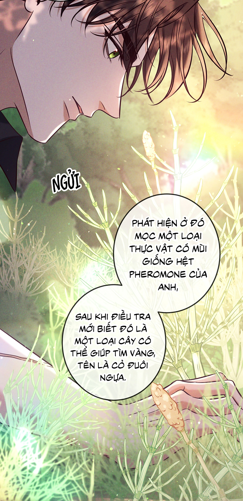 Đêm Tình Yêu Và Sát Ý Chap 82 - Trang 3