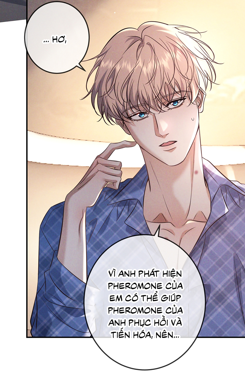 Đêm Tình Yêu Và Sát Ý Chap 82 - Trang 3