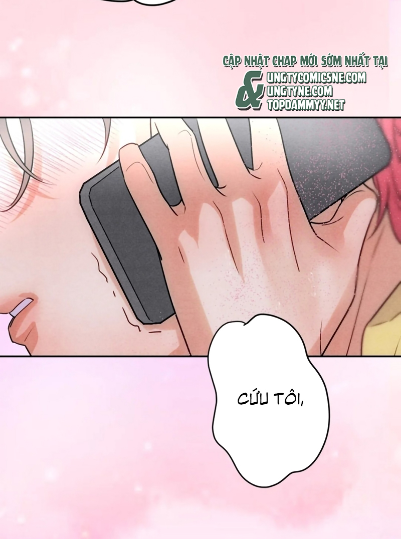 Xuyên Thành Con Ngỗng Vàng Của Đại Lão Alpha Chap 22 - Trang 2