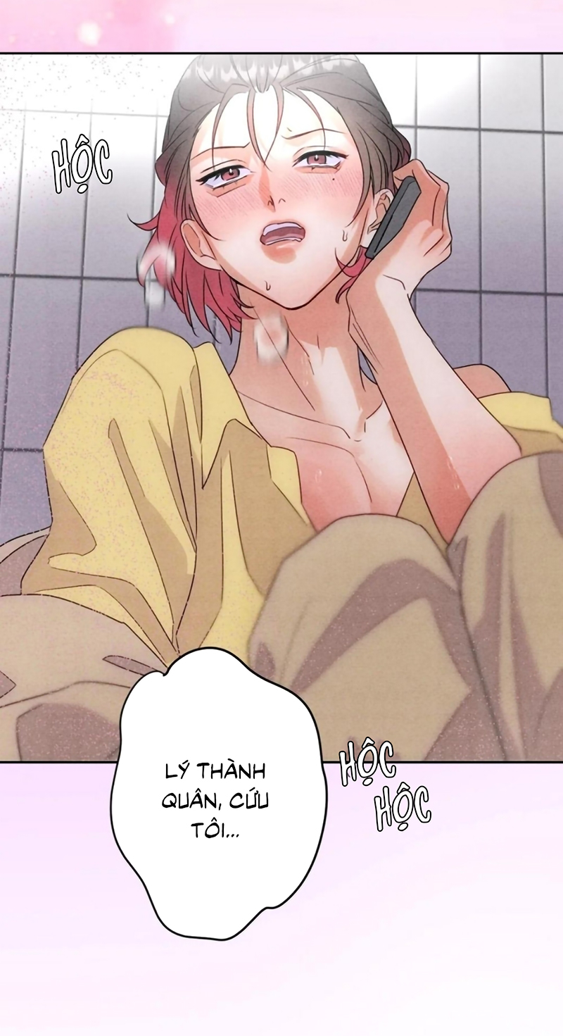 Xuyên Thành Con Ngỗng Vàng Của Đại Lão Alpha Chap 22 - Trang 2