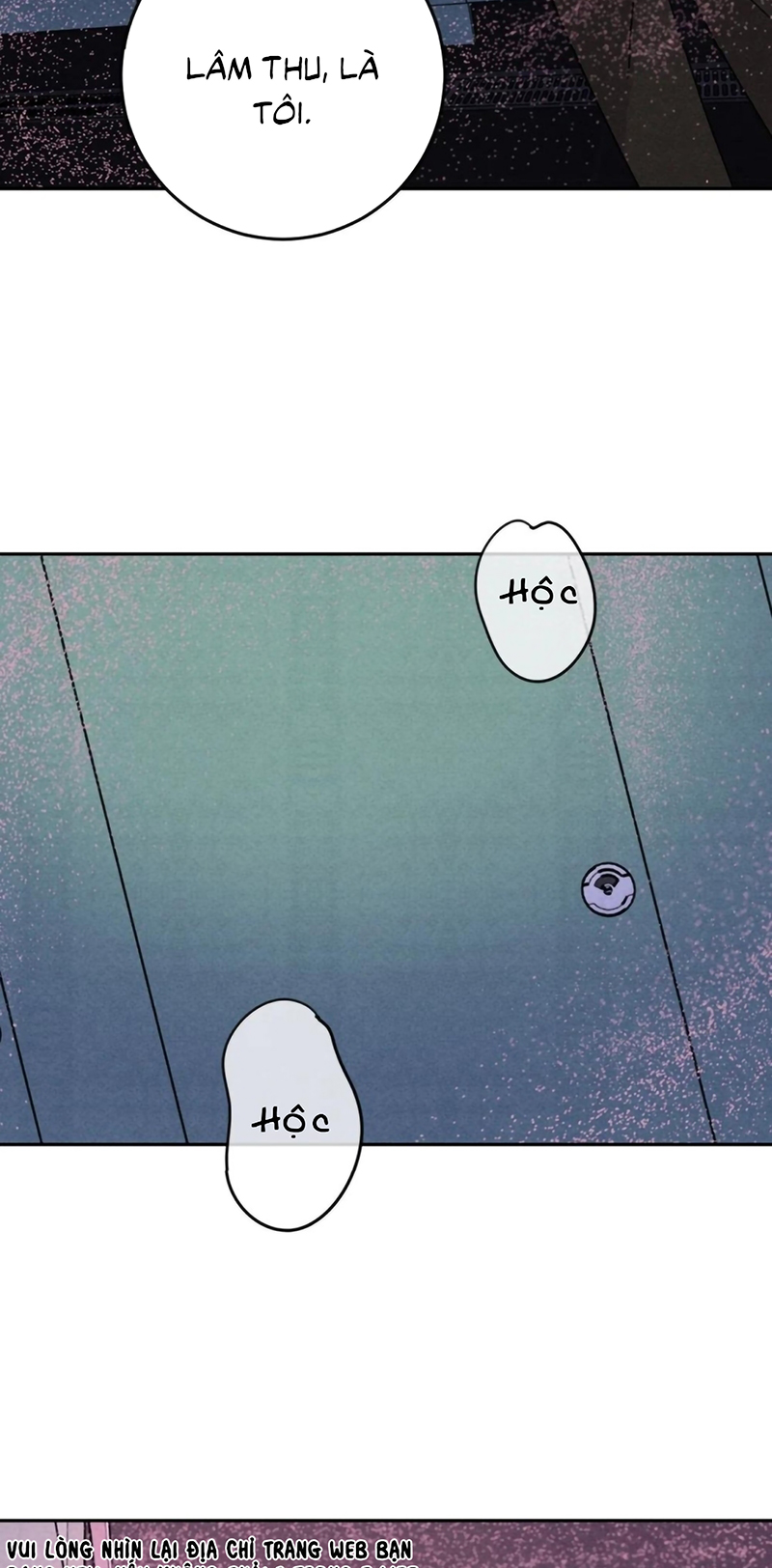 Xuyên Thành Con Ngỗng Vàng Của Đại Lão Alpha Chap 22 - Trang 2