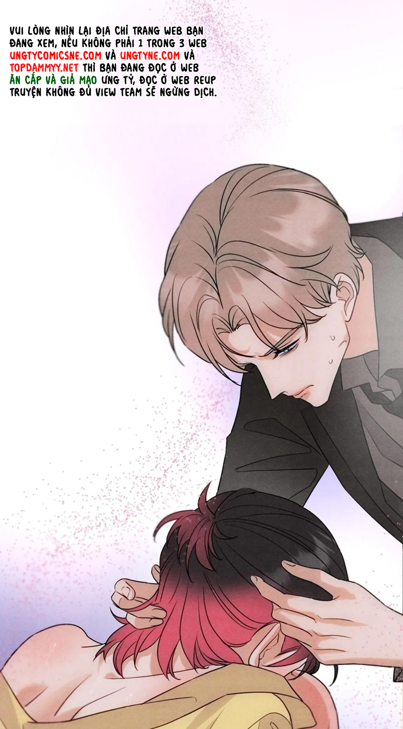 Xuyên Thành Con Ngỗng Vàng Của Đại Lão Alpha Chap 22 - Trang 2