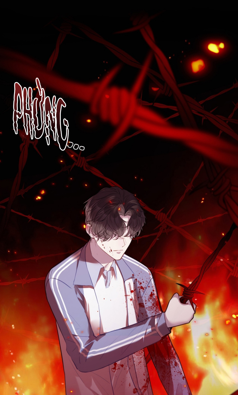 Anh Ấy Chưa Từng Rơi Xuống Chap 142 - Trang 3