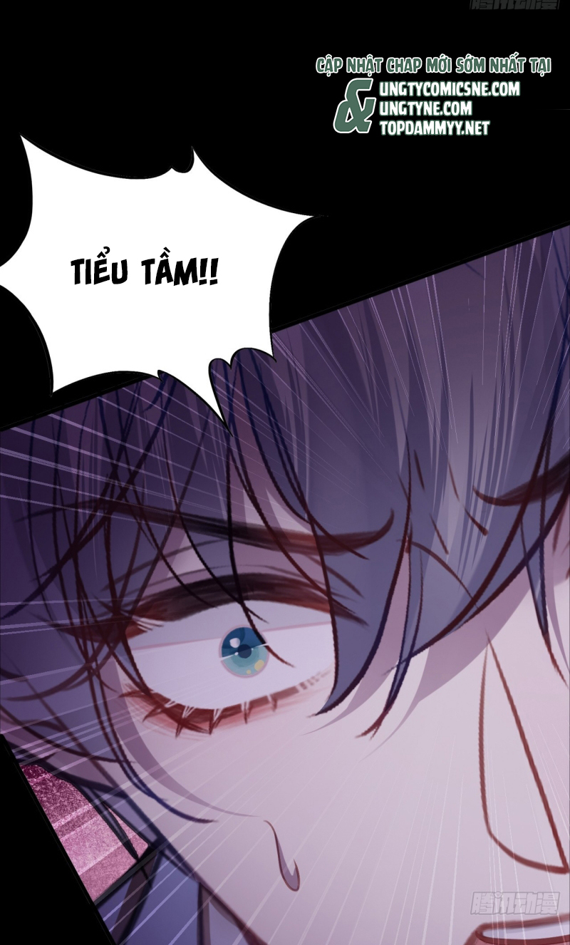 Anh Ấy Chưa Từng Rơi Xuống Chap 142 - Trang 3