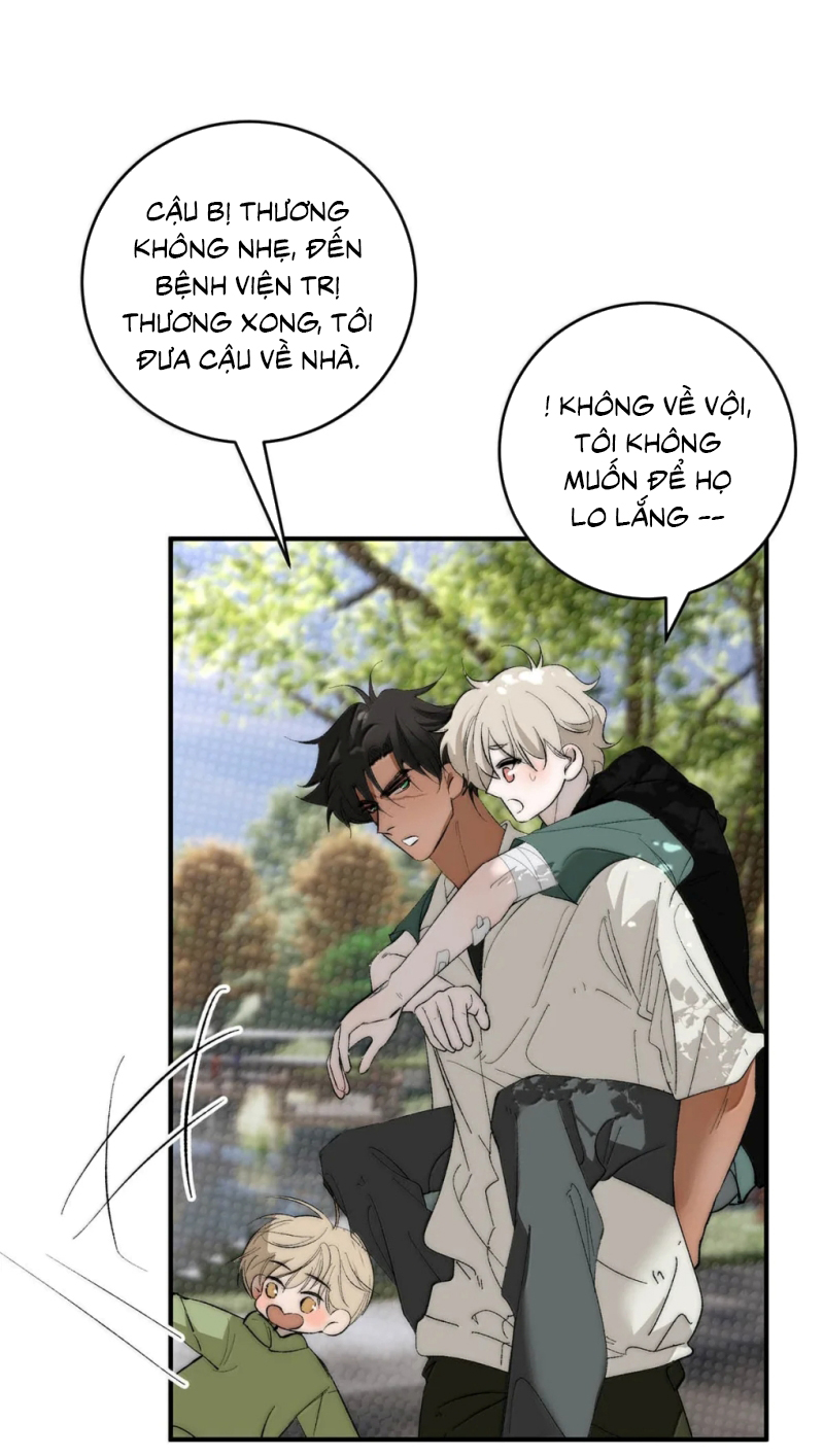 Mỗi Ngày Đều Muốn Làm Bệnh Kiều Vương Tử Xấu hổ Muốn Độn Thổ Chap 38 - Trang 3
