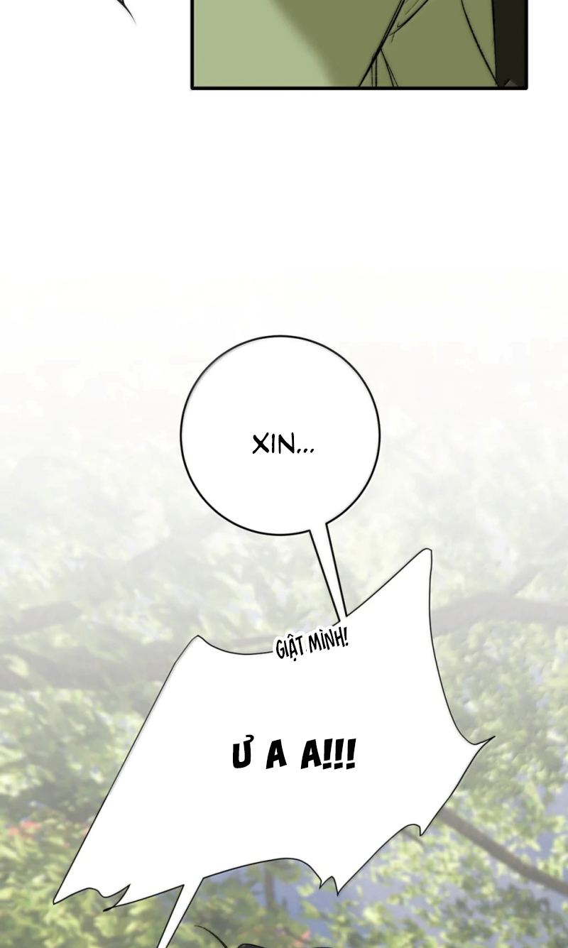 Mỗi Ngày Đều Muốn Làm Bệnh Kiều Vương Tử Xấu hổ Muốn Độn Thổ Chap 38 - Trang 3