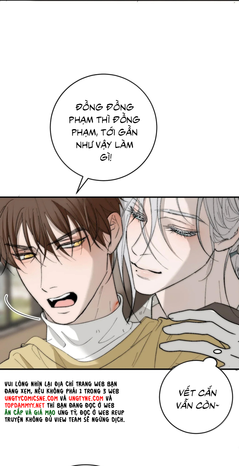 Mỗi Ngày Đều Muốn Làm Bệnh Kiều Vương Tử Xấu hổ Muốn Độn Thổ Chap 38 - Trang 3