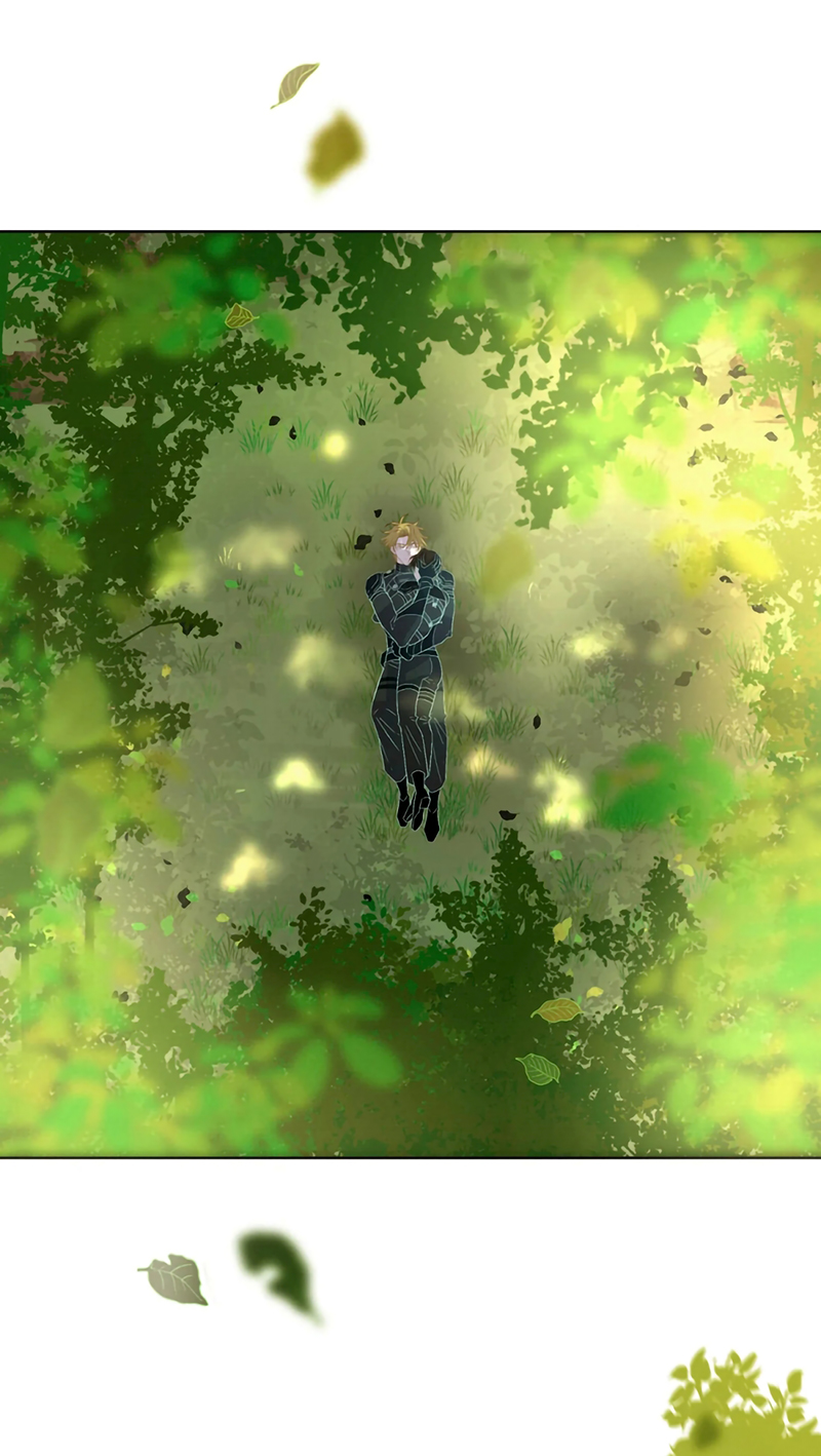 Tuyệt Xử Phùng Sinh Chap 103 - Trang 2